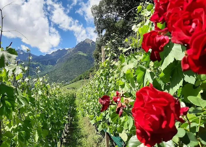 西特讷霍夫农庄酒店